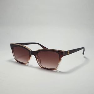 ASS-036 – Unisex Wayfarer Sunglasses – Shaded Brown with Gold Accents Frame